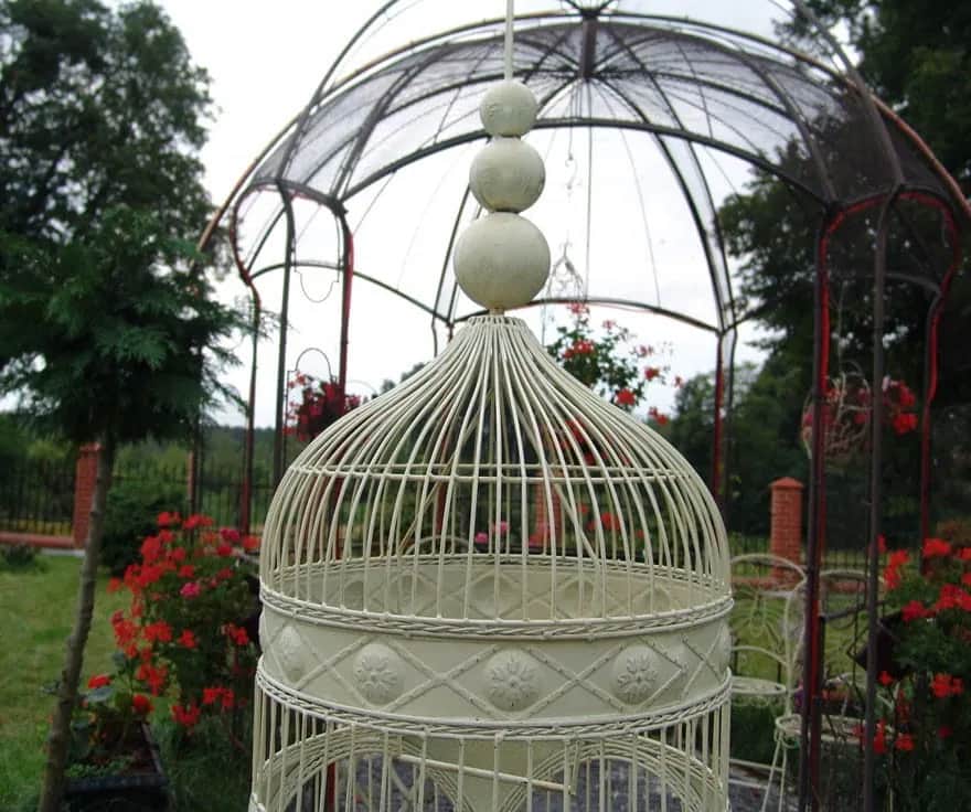 Klatka dla ptaków retro – elegancja i funkcjonalność w jednym